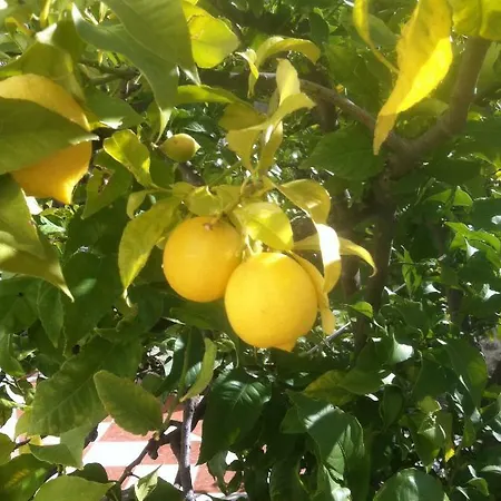 Сasa de vacaciones Prana *